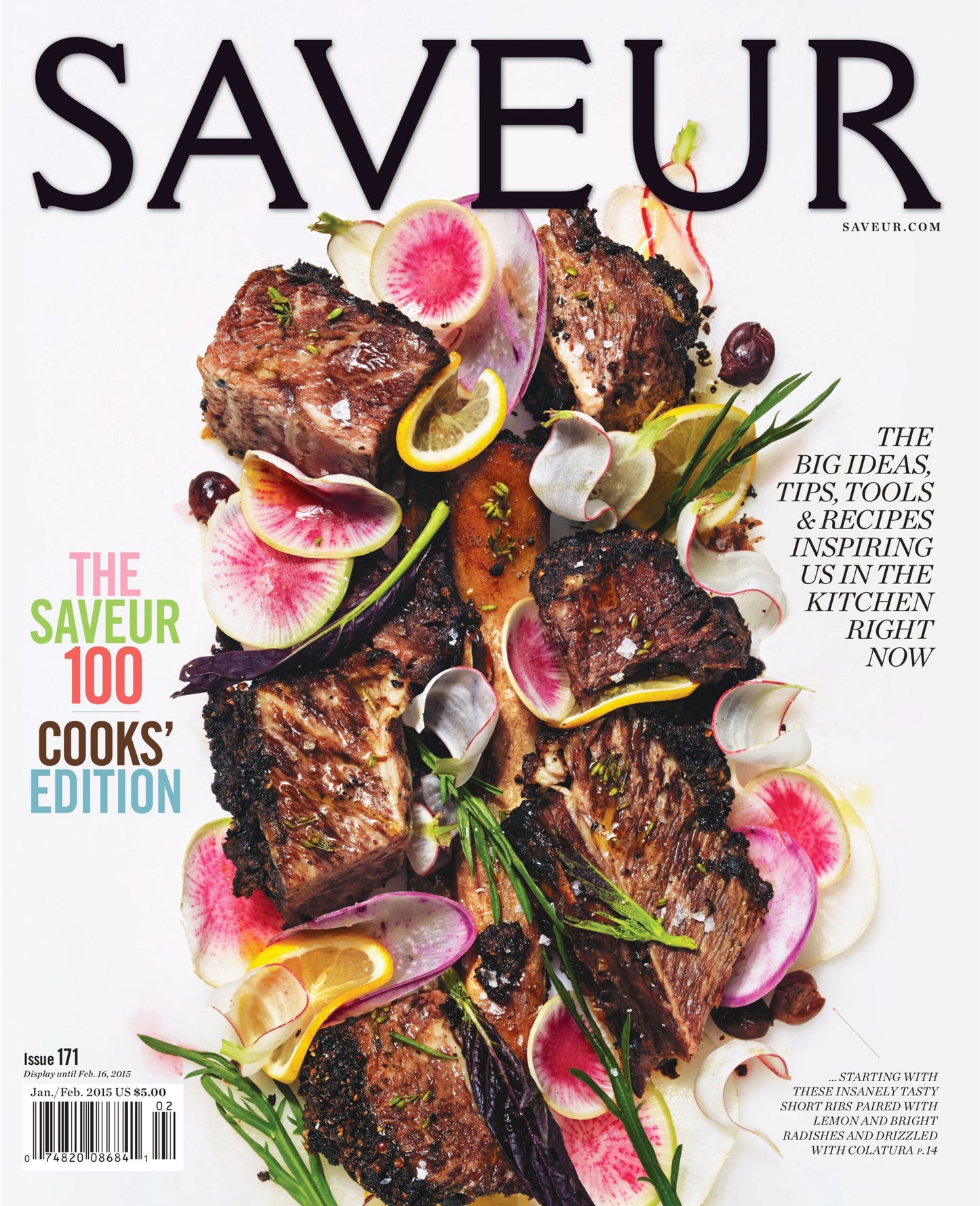 SAVEUR magazine issue No. 171; January/February 2015 cover